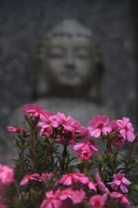 Flower Meditation